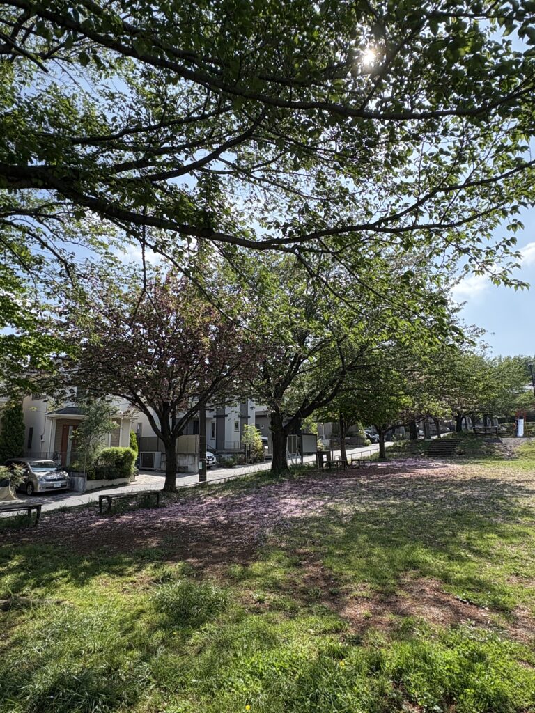 地域清掃