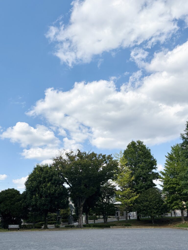 地域清掃