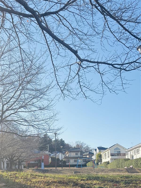 地域清掃【ハマロード・サポーター】